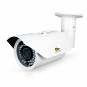 IP видеокамера внешняя Partizan COD-454HM FullHD v3.2 